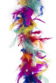 Boa Ă plumes