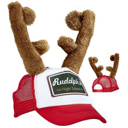 Accessoires de Noël