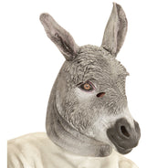 Masque d'âne