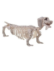 Animaux effrayants
