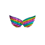 Ailes arc-en-ciel