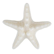 Accessoires sirène
