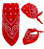 Bandana de cow-boy
