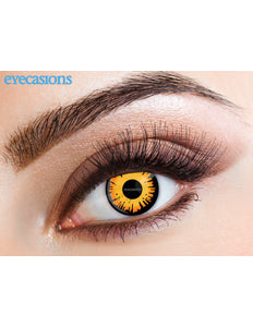 Wicked Costumes Bella een dag lenzen in oranje zwart