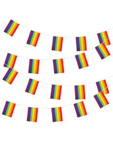 Wicked Costumes Regenboog vlaggenlijn 10m