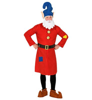 Costume de lutin