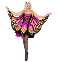 Costume papillon