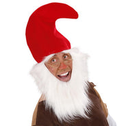 Chapeau de gnome