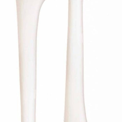 Collection image for: Nep bot