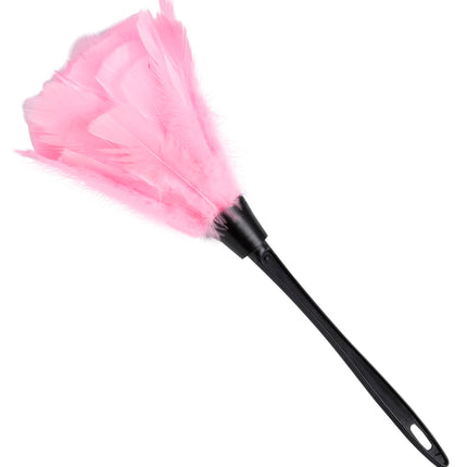 Collection image for: Plumeaux