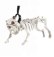 Chien squelette