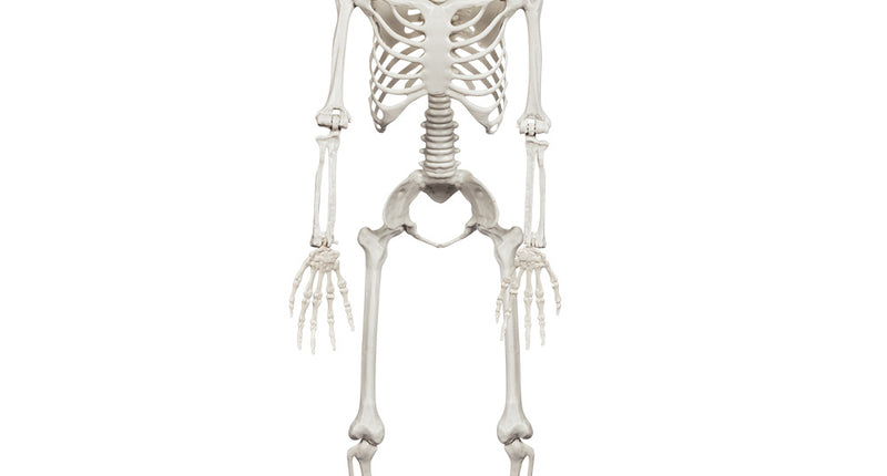 Decoratie Beweegbaar skelet 91cm