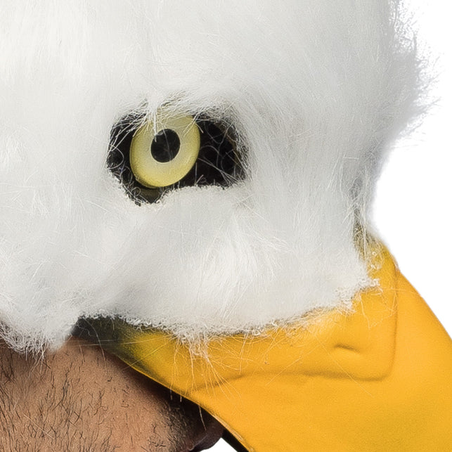 Witte adelaar close-up