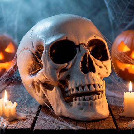 Schedel decoratie tussen spinnenweb en pompoenen voor Halloween