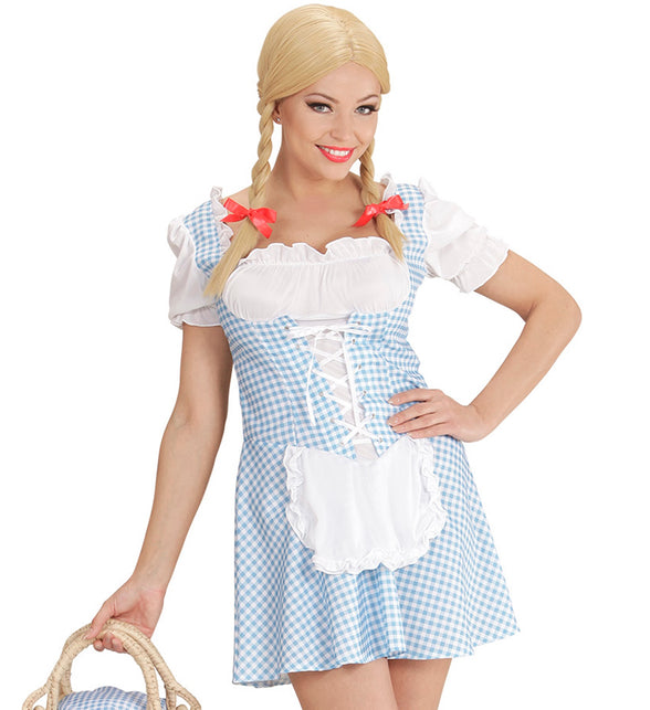 Beiers Dirndl jurkje Erika
