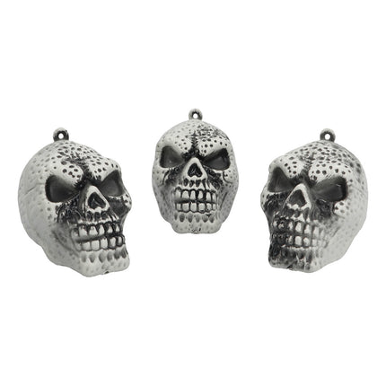 Set 3 schedels naturel Halloween decoratie