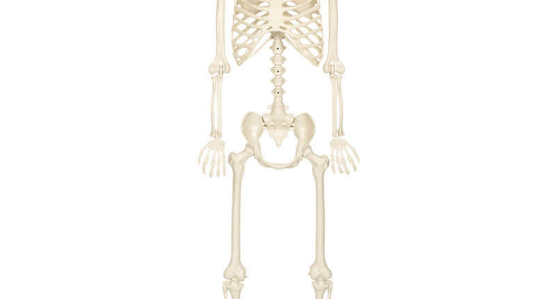Hangdecoratie Skelet skinny 160 cm wit Halloween