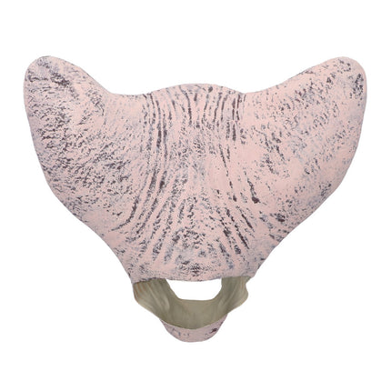Achterkant van het Horror cat hoofdmasker met donkere rimpellijnen en opening bij de hals