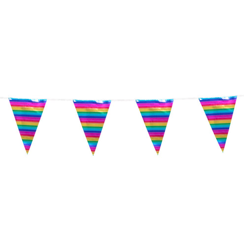 Boland Foliereuzenvlaggenlijn regenboog