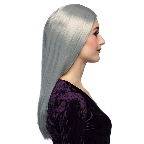 Boland Grijze pruik lang stijl haar heks