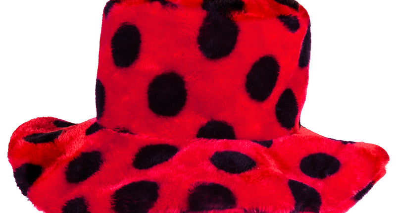 Boland Hoed Lieveheersbeestje