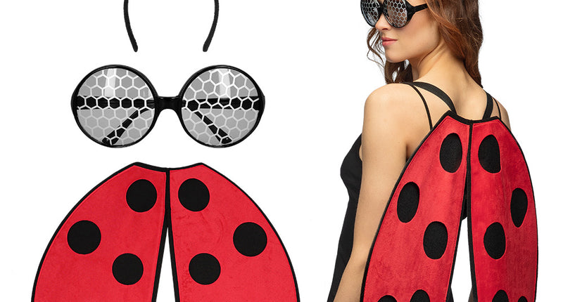 Boland Lieveheerbeestje verkleed set