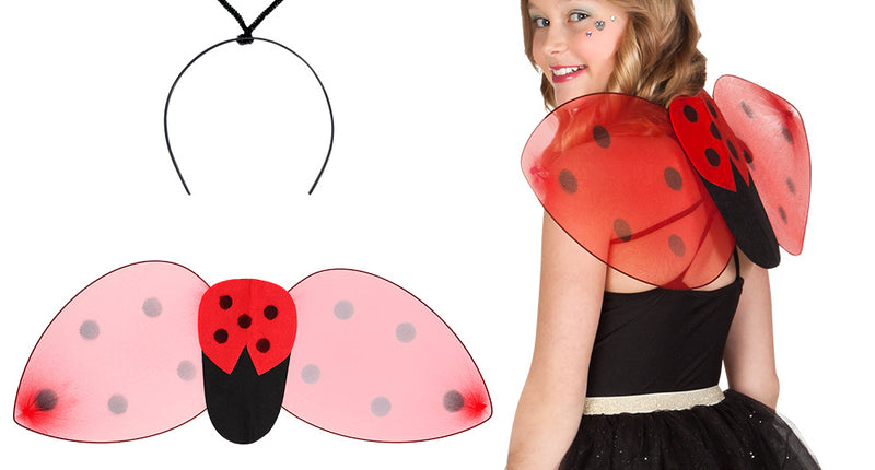 Boland Lieveheersbeestje verkleed set kind