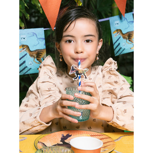 Boland Papieren tafelkleed T-rex