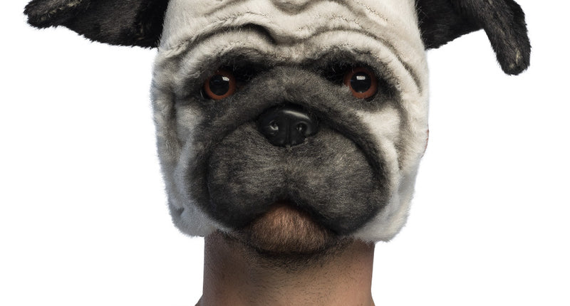 Pluche mopshond masker (pug) in crèmewit met grijze snuit en zwarte flaporen, gedragen als halfmasker