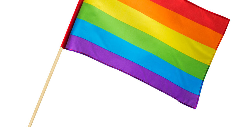 Boland Polyester zwaaivlag Regenboog