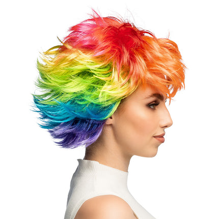 Multicolor feestpruik kort model