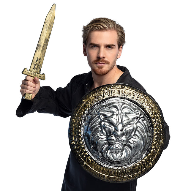 Boland Ridder schild met zwaard set