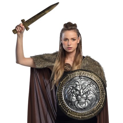 Boland Ridder schild met zwaard set