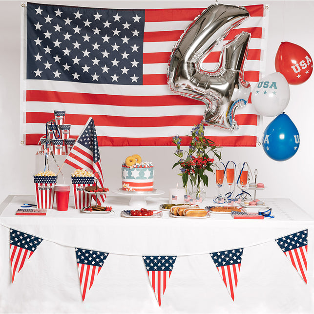 Boland Set 10 papieren bordjes USA