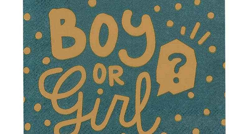 Boland Set 20 papieren servetten 'Boy or girl?'