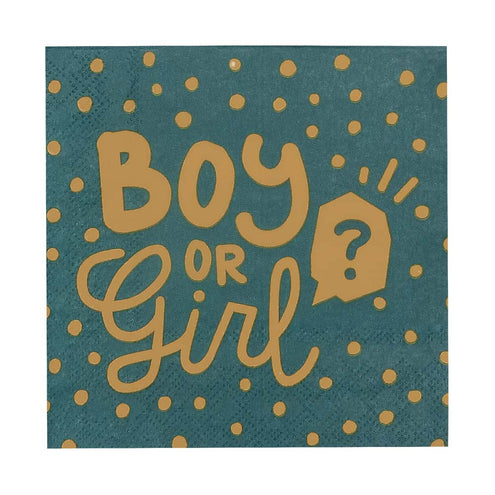 Boland Set 20 papieren servetten 'Boy or girl?'