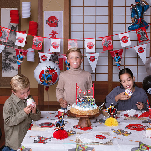 Boland Set 4 stickervellen 'Ninja'