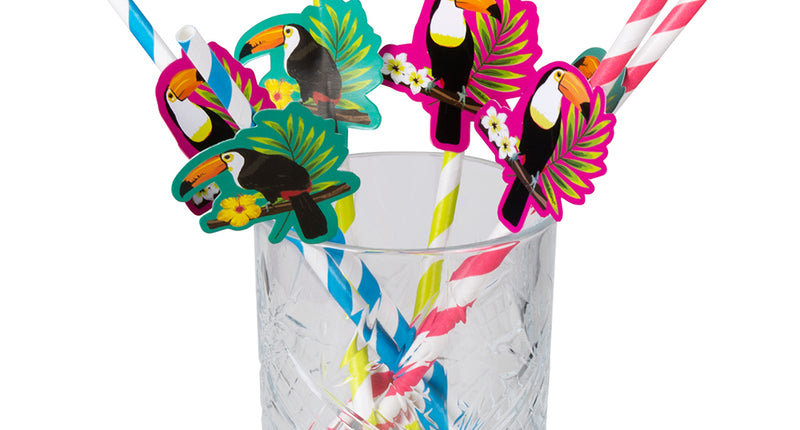 Boland Set 6 papieren rietjes Toekan