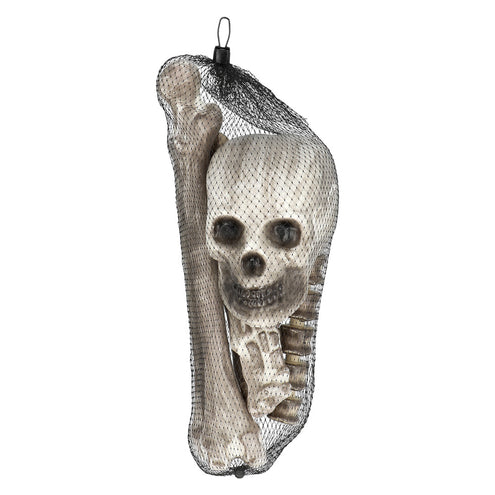 Boland Set 6 Schedel & beenderen