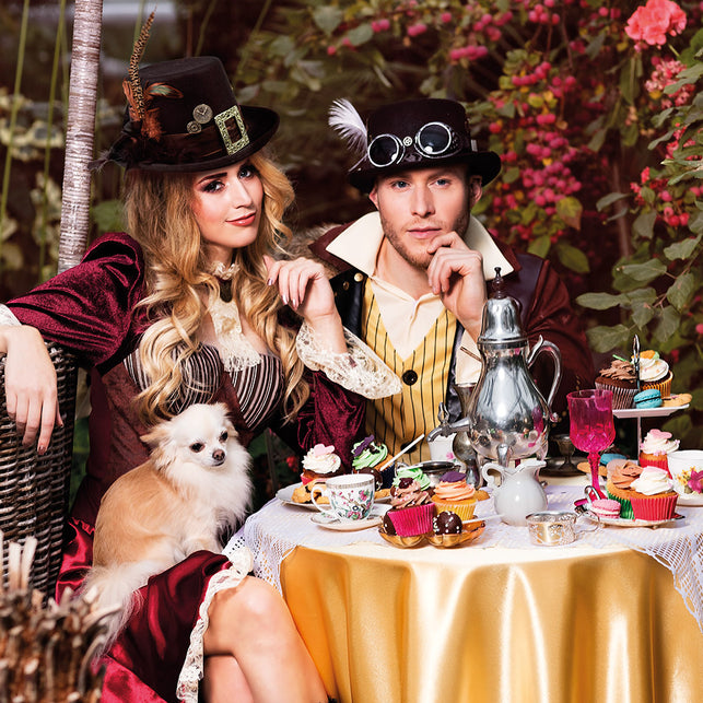 Boland Steampunkhoed Plumepunk