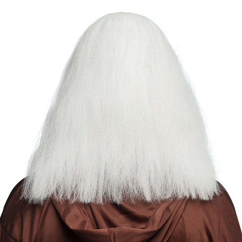 Boland Tovenaar pruik Wise man