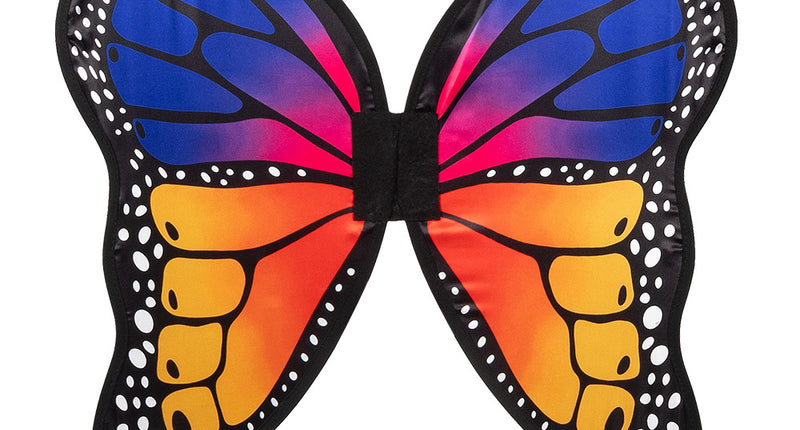 Boland Vleugels vlinder Cynthia