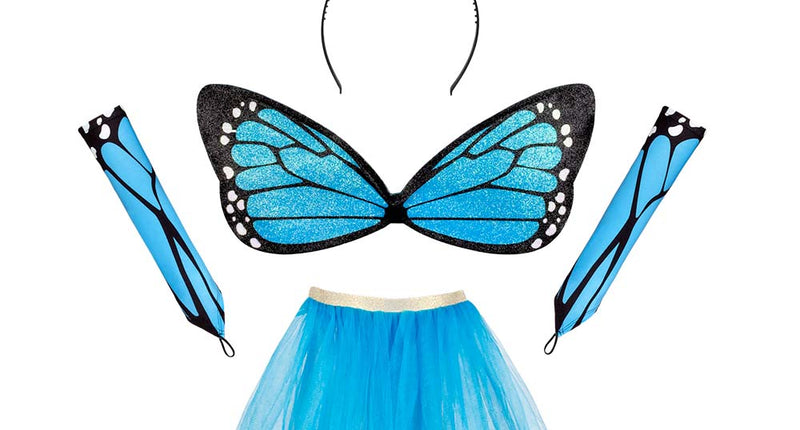Boland Vlinder verkleed set blauw kind
