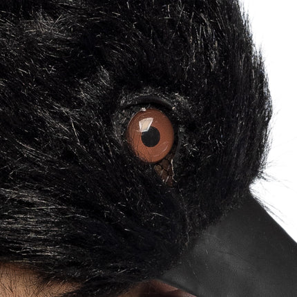 Close-up van het kraaienmasker: bruin vogeloog tussen lange pluchen haren