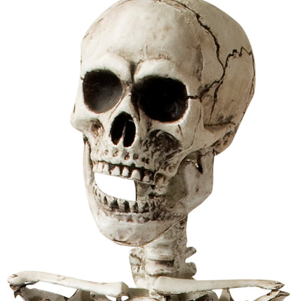 Detail van de schedel van het nep skelet met zwarte oogkassen, barst en openhangende kaak