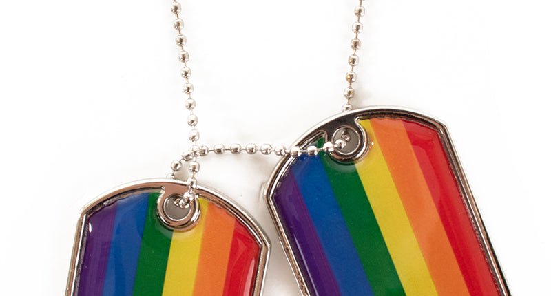 Dogtag ketting regenboog met twee plaatjes in regenboogkleuren aan zilverkleurige bolletjesketting