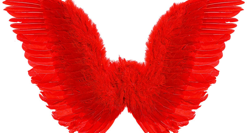 Gevederde vleugels rood met lange slagpennen aan de buitenrand en pluizig verenmidden, vooraanzicht