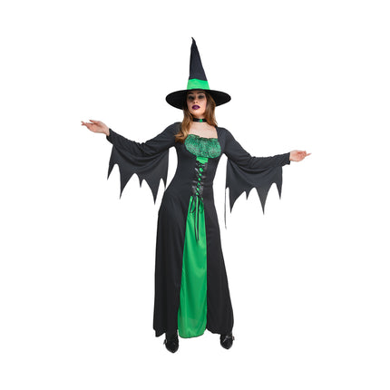 Groene heksenjurk met zwarte punthoed, groen kanten lijfje en puntige mouwen voor Halloween
