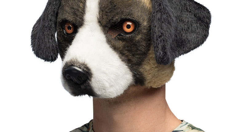 Hondenmasker Bernard van pluche, bruin-wit met zwarte flaporen, gedragen door een man op een dierenfeest