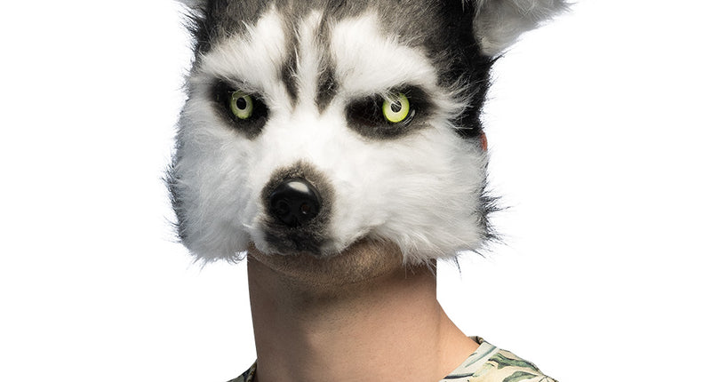 Husky masker pluche gedragen door man, zwart-witte vacht met groene ogen, voor Halloween